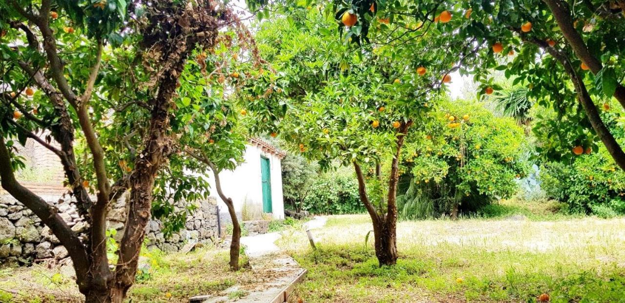 L'Aranceto Villa Acireale Exterior photo